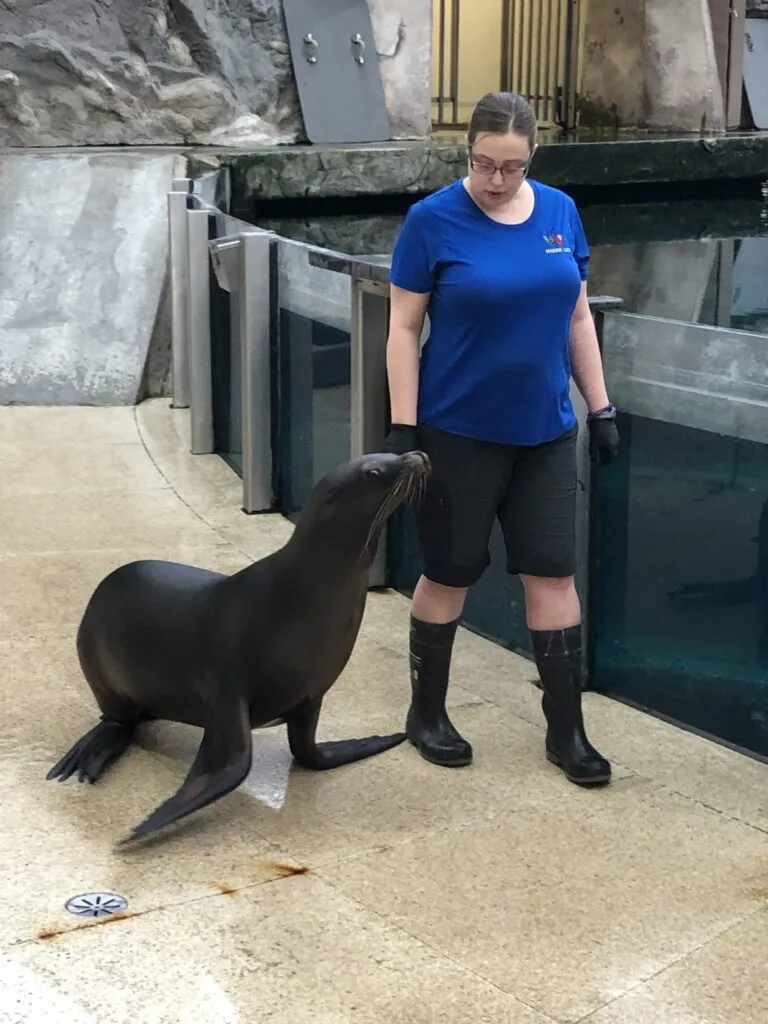 Preschool field trip seeing sea lions at West Edmonton Mall Sea Life Taverns at Lessard Playschool